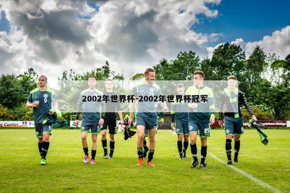 2002年世界杯-2002年世界杯冠军