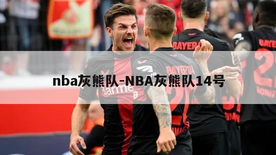 nba灰熊队-NBA灰熊队14号